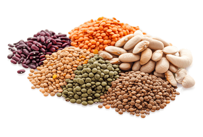 Beans/Lentils & Dry Fruits & Nuts