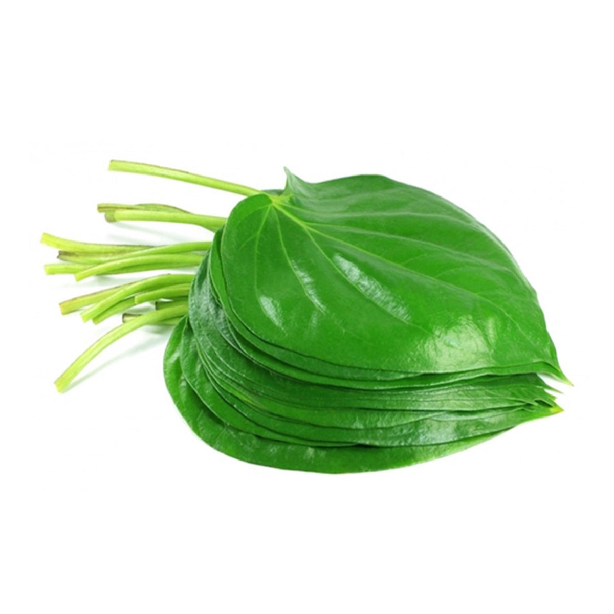 Betel Leaves 5 piece