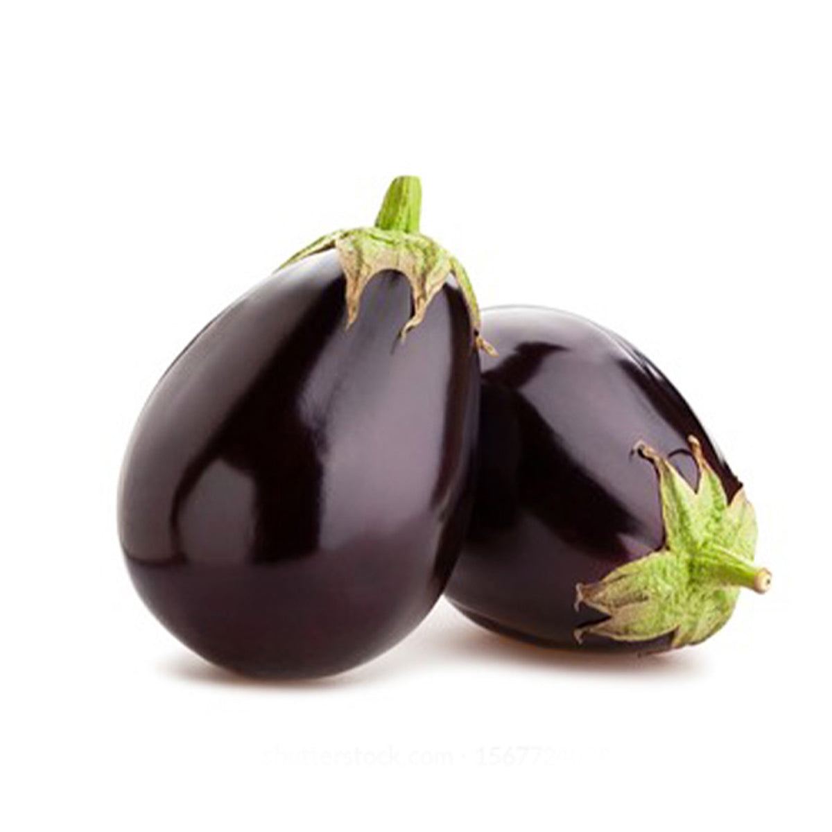 Black beauty aubergine