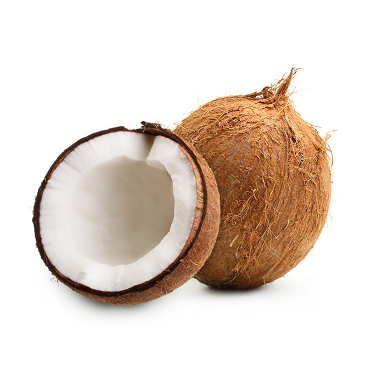 Coconut single piece