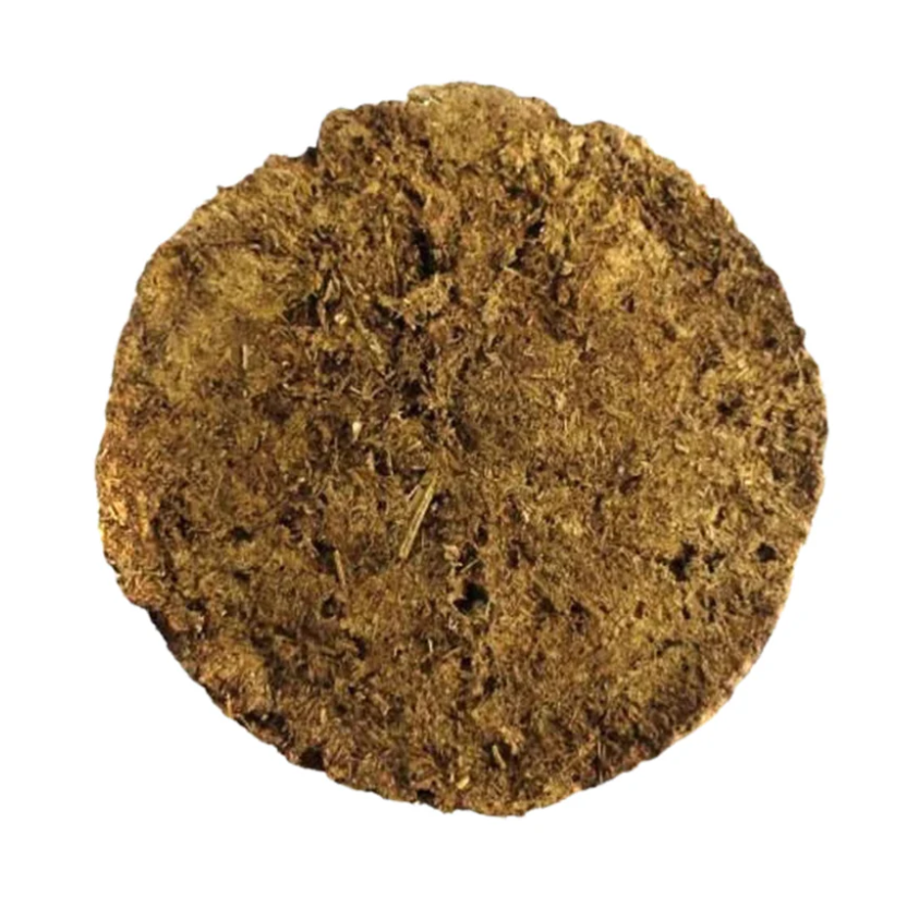 Cow Dung Cake – Sacred Ritual Fuel