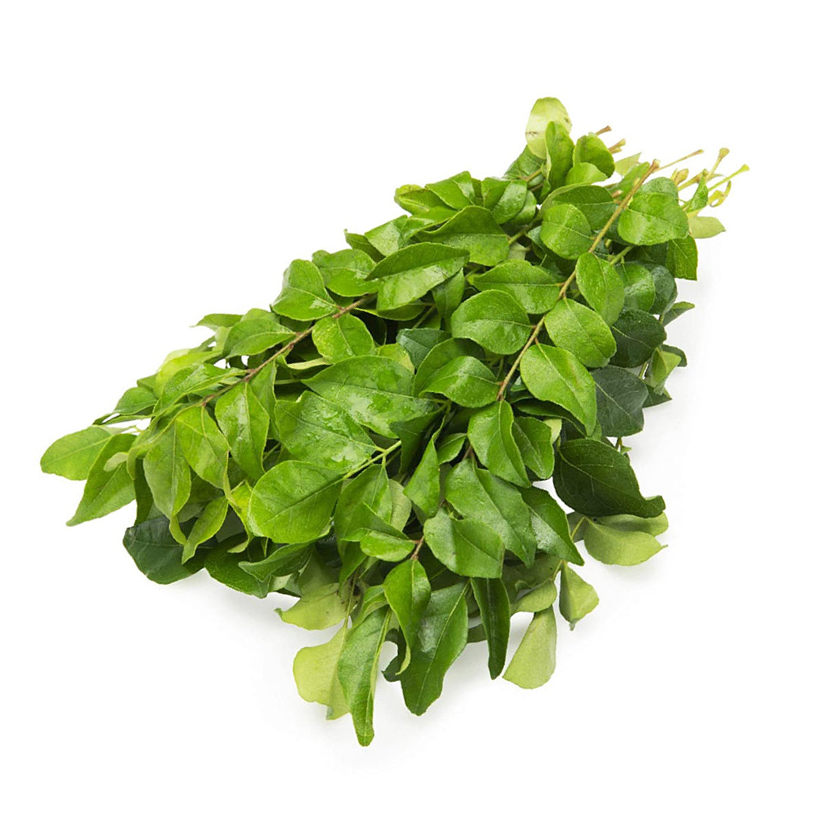 Curry Leaves pack