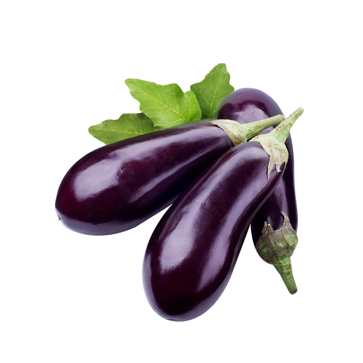 Dutch Aubergine