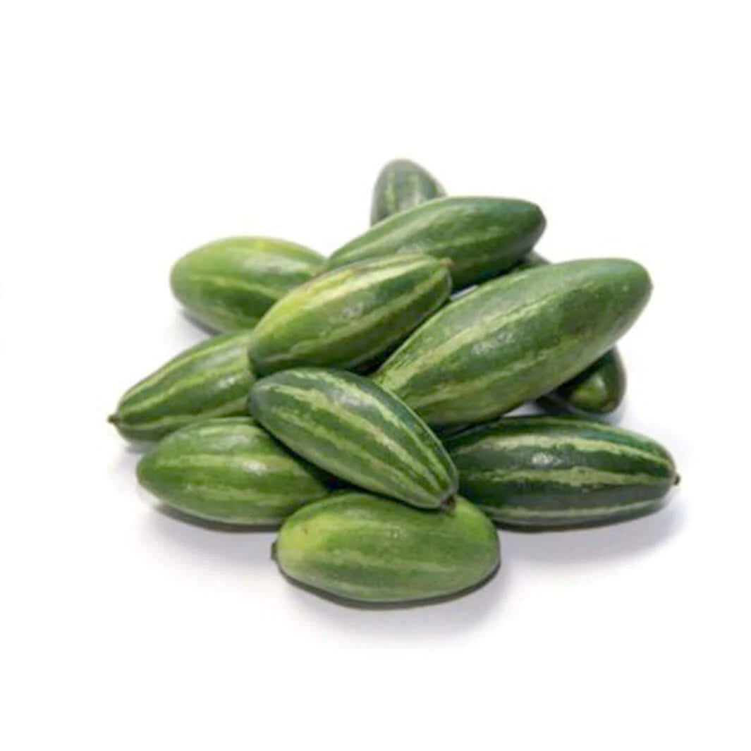 Parvar