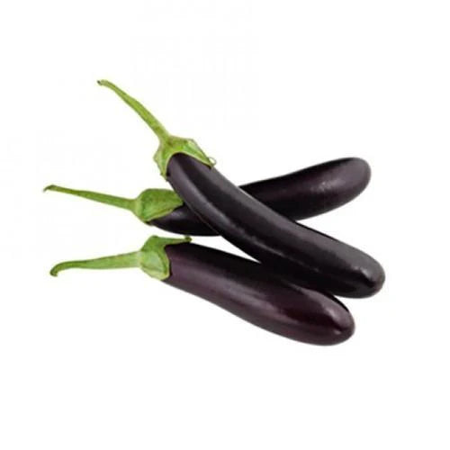 Long Aubergine