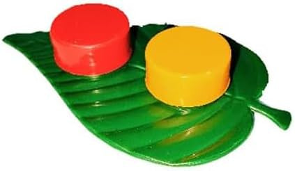 Haldi-kumkum on leaf tray