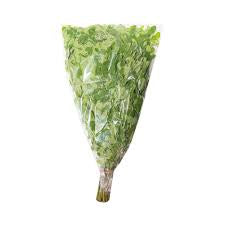 Drum Stick Leaves