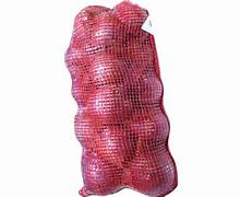 Indian Onion