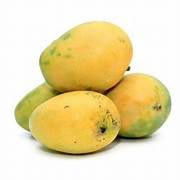 BAGANAPALLI MANGOES Approx 4kg