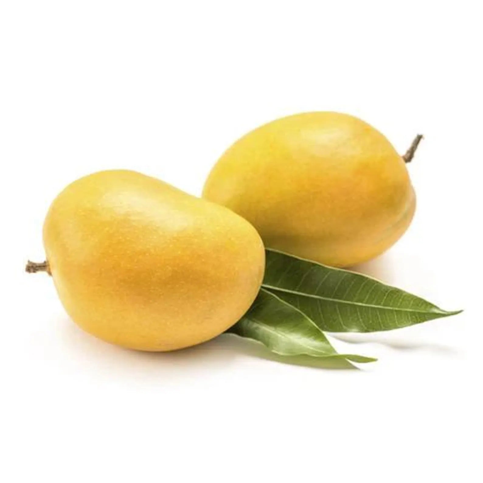 ALPHONSO MANGOES 6PACK