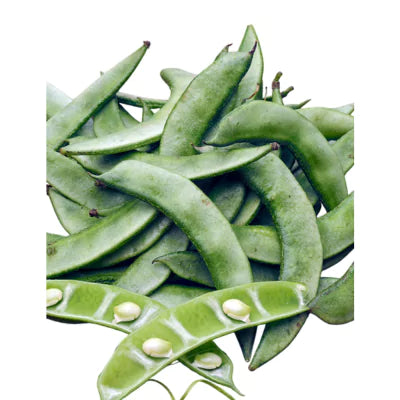 Valor papdi beans